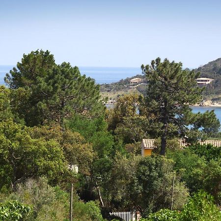 Villa Mimosa Favone Eksteriør billede