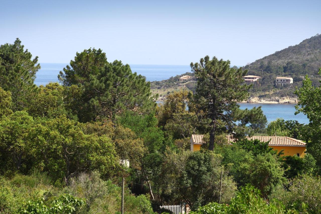 Villa Mimosa Favone Eksteriør billede