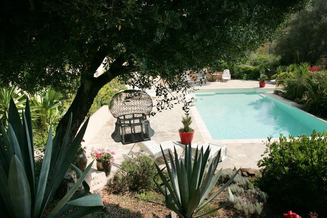 Villa Mimosa Favone Eksteriør billede