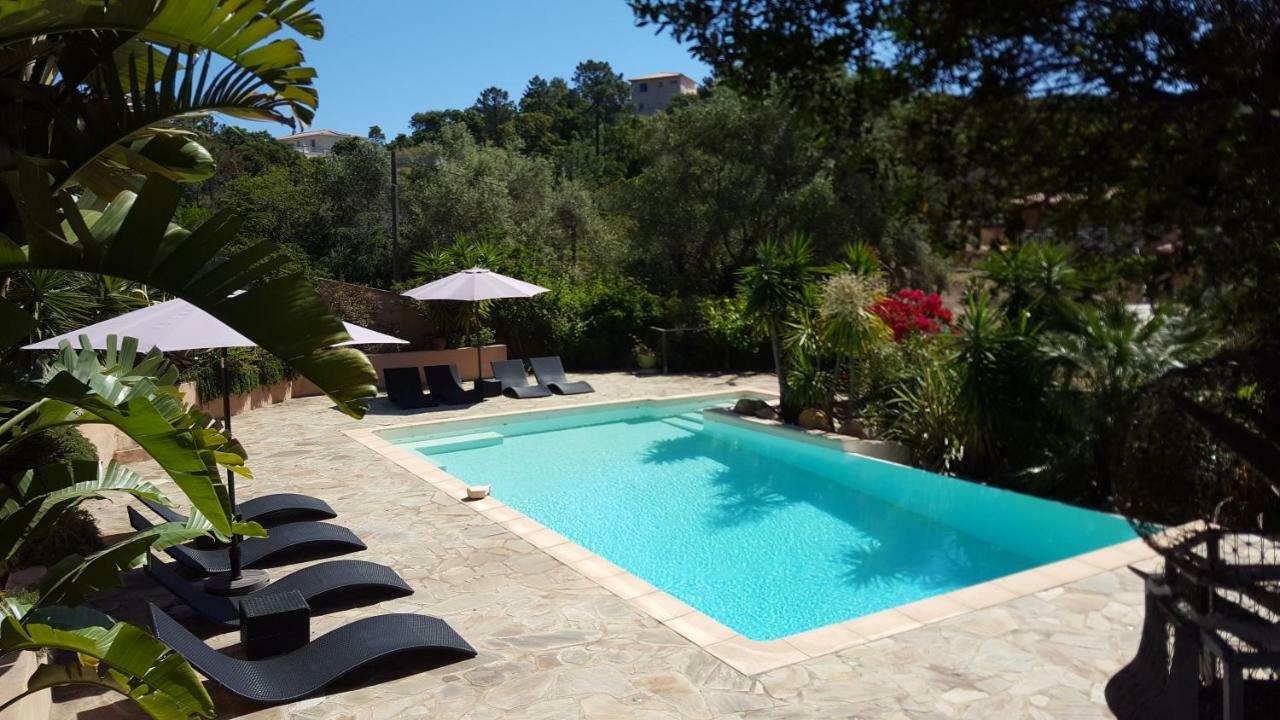 Villa Mimosa Favone Eksteriør billede